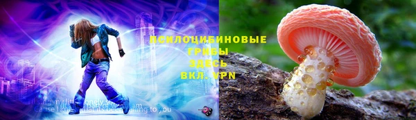 наркотики Белокуриха