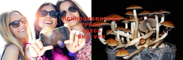 прущие грибы Белоозёрский