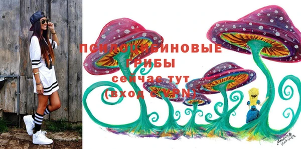наркотики Белокуриха