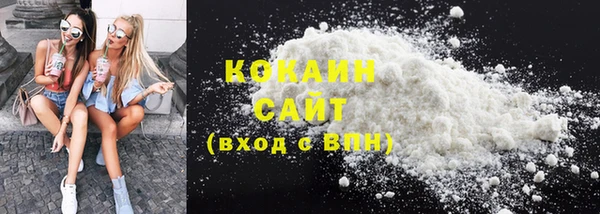 прущие грибы Белоозёрский