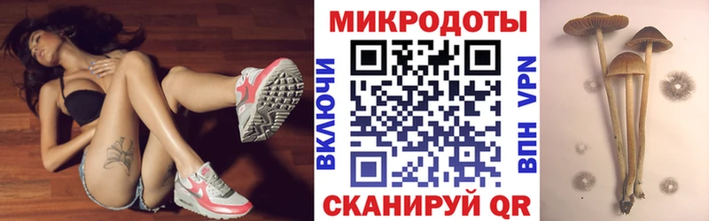 kraken как зайти Гаврилов-Ям Псилоцибиновые грибы Cubensis